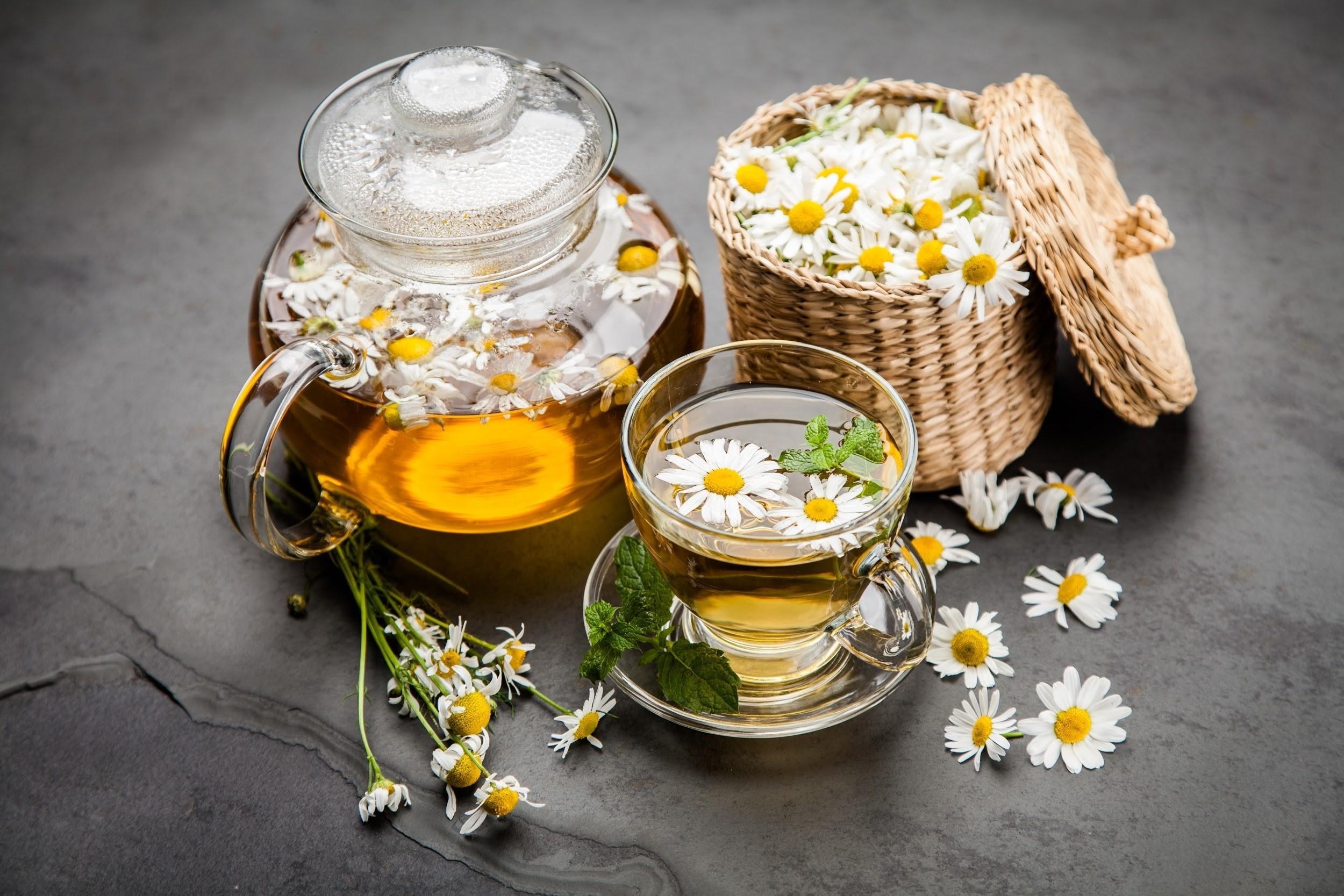 Cách làm trà thảo mộc giúp “sưởi ấm và chữa bệnh” vào mùa Thu tra hoa cuc