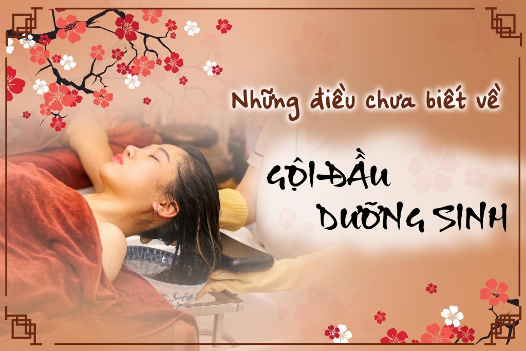 Tìm hiểu về gội đầu dưỡng sinh goi dau duong sinh